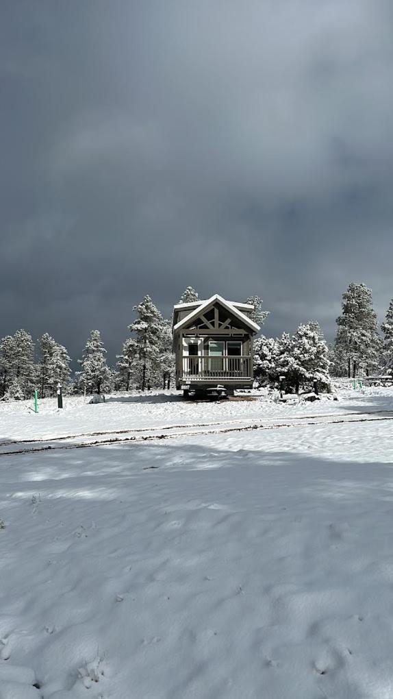 Cozy Cabin By Forest View 4B Уилямс Екстериор снимка
